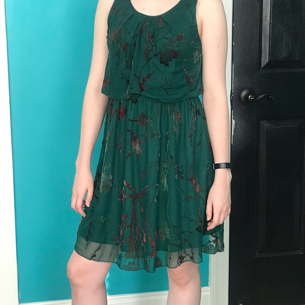 Lizard Thicket Green Dress with Velvet-feel Floral Appliqués.